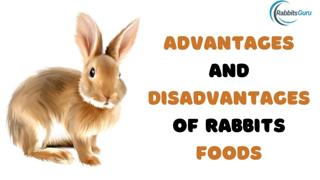 Advantages and Disadvantages of Rabbits Foods