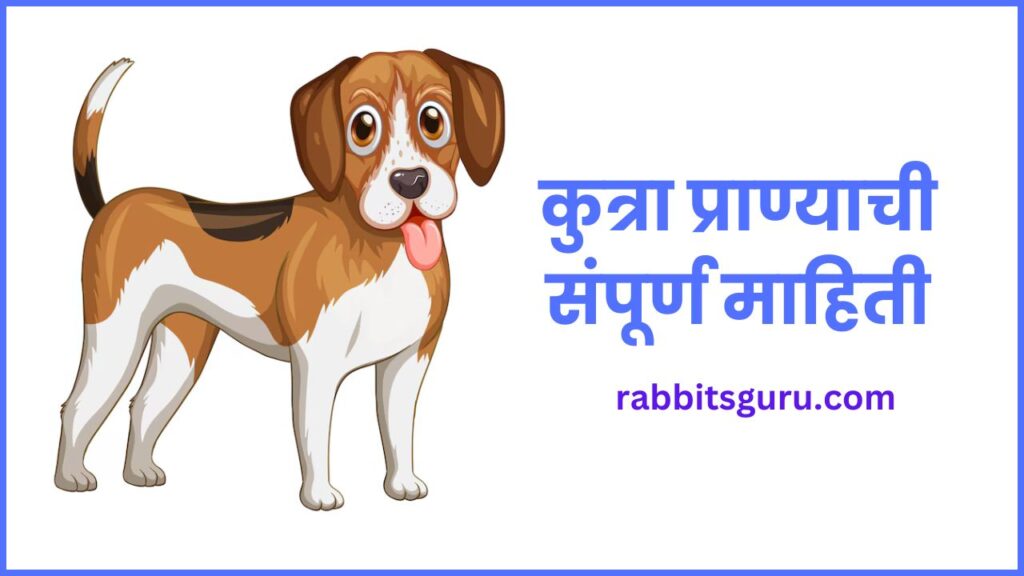 Dog Information in Marathi