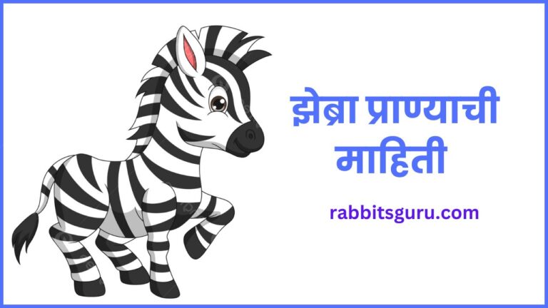 Zebra Information In Marathi