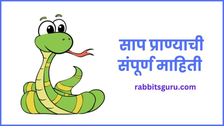 Snake Information In Marathi